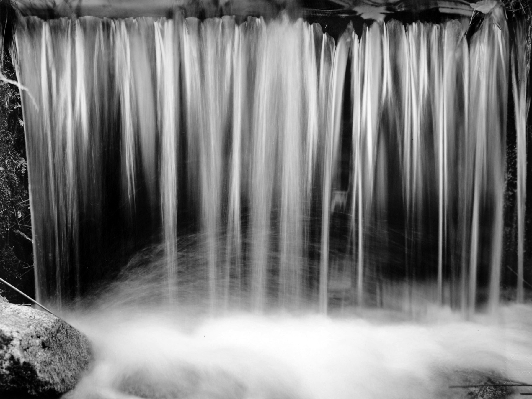 Acequia-en-Colonia-suiza - Diego Ortiz Mugica